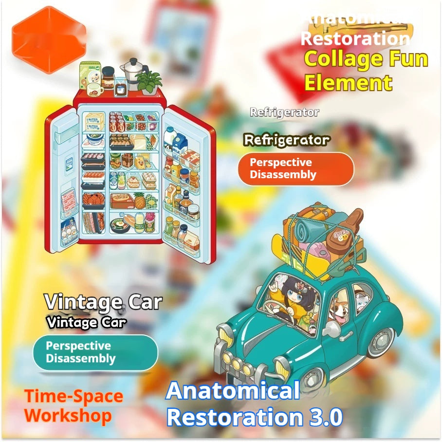 Anatomical Reconstruction 3D Puzzle Stickers
