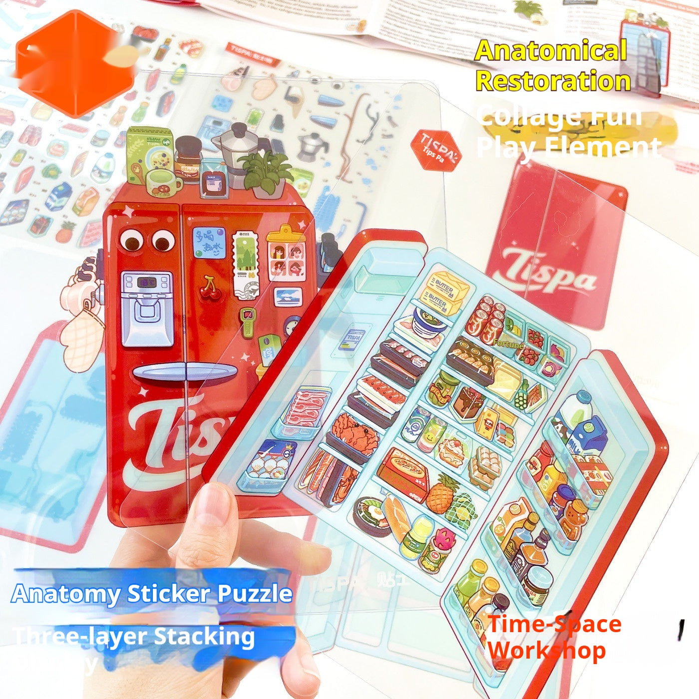 Anatomical Reconstruction 3D Puzzle Stickers